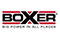 Boxer